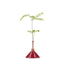 Consilium vase b�rr�d