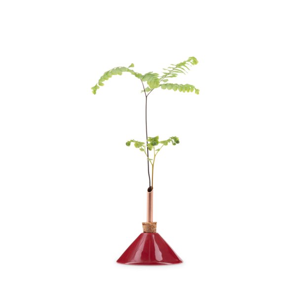 Consilium vase b�rr�d