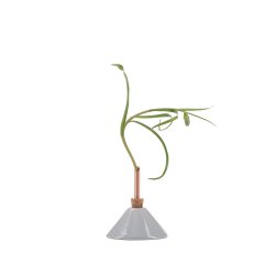 Consilium vase gletsjergr�