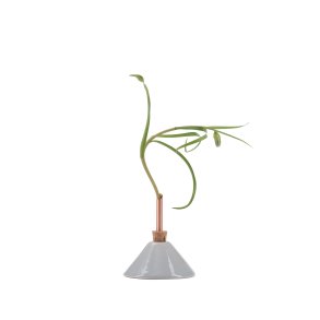 Consilium vase gletsjergr�