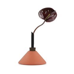 Consilium vase terracotta brun