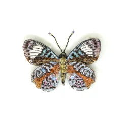 Trovelore Glorious Purplewing Butterfly 
