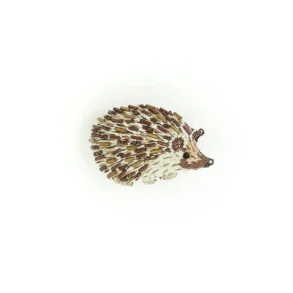 Trovelore  Long eared  Hedgehog